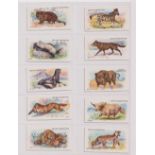 Cigarette cards, Adkin's, two sets, Wild Animals of the World (50 cards) & Butterflies & Moths (50