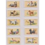 Cigarette cards, Hignett's, Dogs (set, 50 cards, plus duplicate cards for nos 15, 19, 27 & 32) (