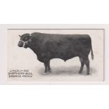 Cigarette card, Taddy, Famous Horses & Cattle, type card, no 46, Lincoln Red Shorthorn Bull, 'Grange