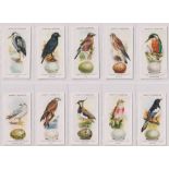 Cigarette cards, Hignett's, British Birds & their Eggs (set 50 cards plus one duplicate no 46) (