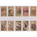 Cigarette cards, China, China Tobacco Manufactory, Birds, (set? 40 cards) (gd)