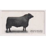 Cigarette card, Taddy, Famous Horses & Cattle, type card, no 38, Aberdeen Angus Bull 'Wizard of