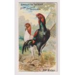 Trade card, Spratt's, Prize Poultry Series, type card, 'Red Mallays', back 'Leg weakness in poultry'