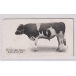 Cigarette card, Taddy, Famous Horses & Cattle, type card, no 6, Friesland Bull, 'Expectation' (