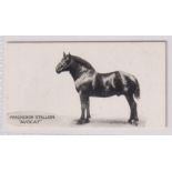 Cigarette card, Taddy, Famous Horses & Cattle, type card, no 25, Percheron Stallion, 'Avocat' (