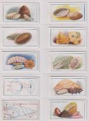 Trade cards, Cerebos Salt, Seashells (Grey back), (set, 100 cards) (some with foxing to backs, gen