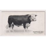 Cigarette card, Taddy, Famous Horses & Cattle, type card, no 47, Hereford Cow, 'Dollymount' (very
