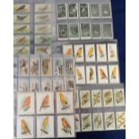 Cigarette cards, Birds, 6 sets, BAT, Birds of Brilliant Plumage (P/C inset), Lea, English Birds, (