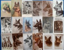 Postcards, Dogs, a selection of 32 cards featuring German Shepherd dogs. RPs and artist drawn inc.