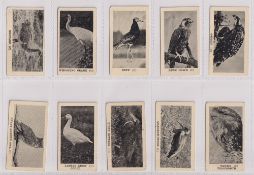 Trade cards, Canada, Perrin's, Birds (set, 72 cards) (mostly good)