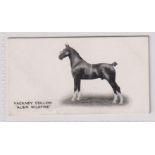 Cigarette card, Taddy, Famous Horses & Cattle, type card, no 30, Hackney Stallion, 'Albin