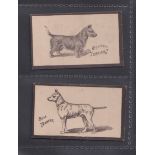 Cigarette cards, Goodbody's, Dogs (Multi-backed), two cards, Bull Terrier & Scotch Terrier, both
