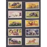 Trade cards, Brookfield Sweets, Animals of the World (set, 50 cards) (some with uneven trim, fair/