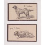 Cigarette cards, Goodbody's, Dogs (Multi-backed), two cards, Clumber Spaniel & English Setter,