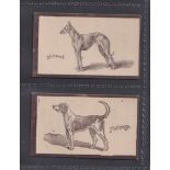 Cigarette cards, Goodbody's, Dogs (Multi-backed), two cards, Foxhound & Whippet, both with '