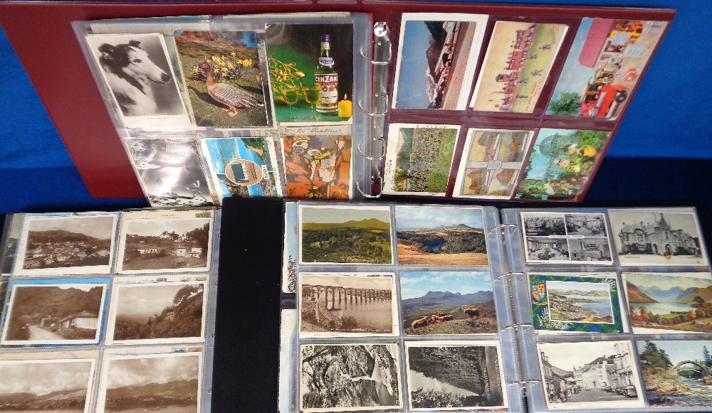 Postcards, a mixed age collection of approx. 930 cards in 3 modern albums (mostly modern). With - Image 3 of 3