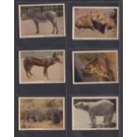 Trade cards, Canada, Neilson's, Wild Animals 'M' size (117/120, missing nos A3, B20 & C1) (gd)