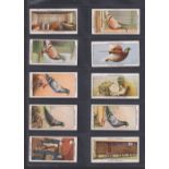 Cigarette cards, three sets, Ogden's, Racing Pigeons (50 cards, few with sl marks, gen gd),