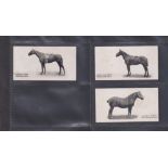 Cigarette cards, Taddy, Famous Cattle Horses & Cattle, three type cards, no 16 Irish Hunter '