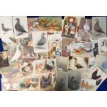 Postcards, a selection of approx. 74 cards of various breeds of chickens and pigeons some cut from