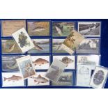 Postcards, Fishing, a set of 6 Tuck published Oilette cards of British Fish no. 1544 and Tuck