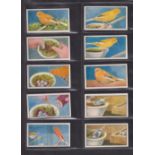 Trade cards, Hyde's, Canary Culture (78/80, missing nos 9, 43 plus 14 duplicates) (gen gd) (92)