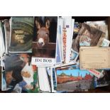 Postcards, a large quantity of mainly modern postcards of UK, foreign and subjects to include