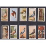Cigarette cards, Ogden's, Racing Pigeons (set, 50 cards) (vg)