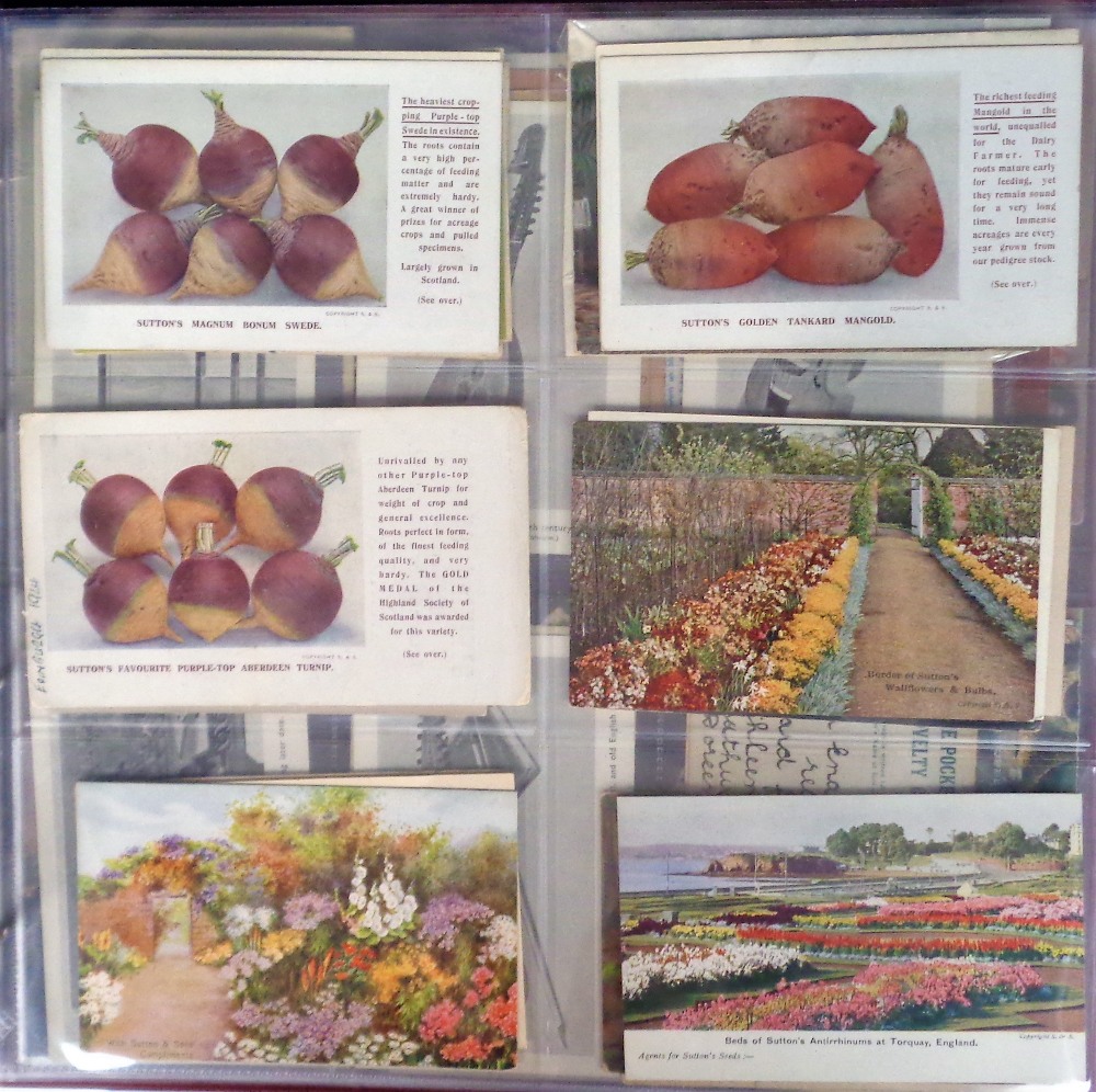 Postcards, a mixed age collection of approx. 930 cards in 3 modern albums (mostly modern). With - Image 2 of 3