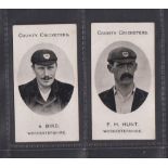 Cigarette cards, Taddy, County Cricketers, Worcestershire, two cards, A. Bird & F.H. Hunt (gd/vg) (