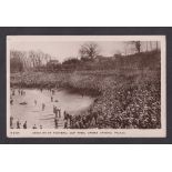 Postcard, Football, RP, crowd scene from the 1901 FA Cup Final, Sheffield United v Tottenham