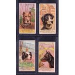 Cigarette cards, USA, H. Ellis & Co, Breeds of Dogs, 4 cards, ALL 'Tiger Cigarettes' with captions