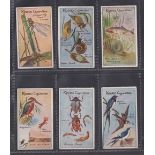 Cigarette cards, Robinson, Nature Studies, 6 cards, nos 16, 18, 19, 21, 35 & 38 (some slight