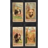 Cigarette cards, USA, H. Ellis & Co, Breeds of Dogs, 4 cards, ALL 'Bengal Cheroots' with captions on