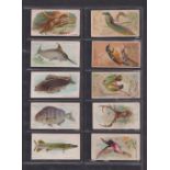 Cigarette cards, USA, selection of 31 cards inc. ATC Songs (5), Allen & Ginter Fish From American