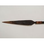 An African tribal spear with steel blade and hardwood shaft, length 198cm.