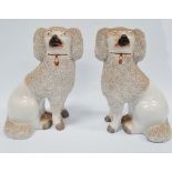 A pair of late 19th century Staffordshire Pottery poodles, height 20cm.