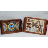 Two Brazilian hardwood and inlaid trays, inset with butterflies and wing decoration, largest width