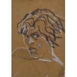 T. SWALES Portrait of a Woman Pastel Framed and glazed Picture size 17 x 12cm Overall size 40 x