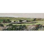 D. POTT Zennor Landscape Watercolour Signed Framed and glazed Picture size 14 x 35cm Overall size 33