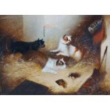 EDWARD ARMFIELD (1817-1896) Terriers Ratting In A Barn Oil on canvas Signed Framed and glazed