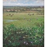 PHILIP TRAVERS Landscape Near Crowlas Acrylic Signed Framed and glazed Picture size 33 x 28cm