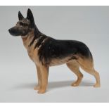 Beswick - A German Shepherd/Alsatian dog, 'Ch.Ulrica of Brittas', height 13.7cm, length 17cm.