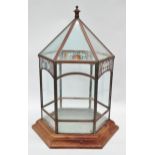Terrarium - An early 20th century hexagonal glazed, stained glass and copper terrarium on an oak