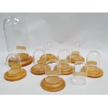 Glass domes on stands - A collection of eight glass domes on turned oak stands, largest height 30cm,