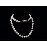 Freshwater pearls, a single strand 70 pearl necklace with 9ct gold catch, length 44cm.