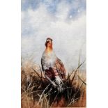 ANN WILLOUGHBY KING (mid XX) English Partridge Watercolour and gouache highlights Signed Framed