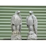 A pair of reconstituted stone kestrels, height 46cm.