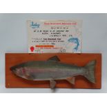 Taxidermy - A New Zealand rainbow trout mounted on a hardwood plaque, together with certificate from