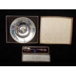 Charles and Diana wedding plate - An Armada style plate with gold relief centre, inscribed 'A